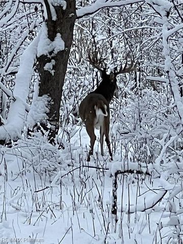 1286 Gray Fox Court, Howell, MI 48843