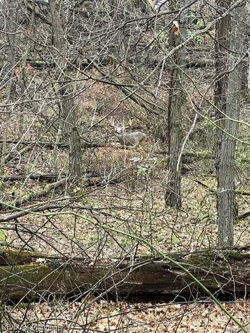 1286 Gray Fox Court, Howell, MI 48843