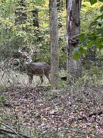 1286 Gray Fox Court, Howell, MI 48843