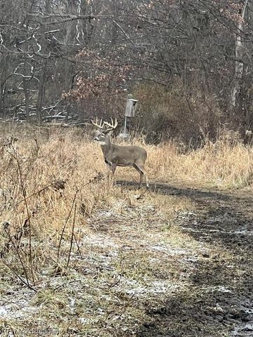 1286 Gray Fox Court, Howell, MI 48843