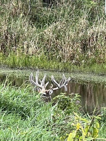 1286 Gray Fox Court, Howell, MI 48843