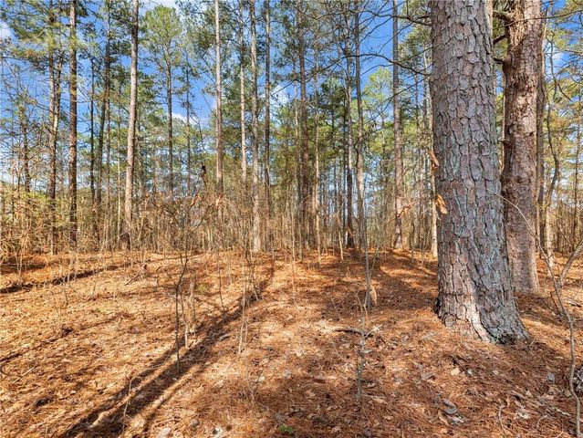 1686 Shoal Creek Road, Monroe, GA 30656