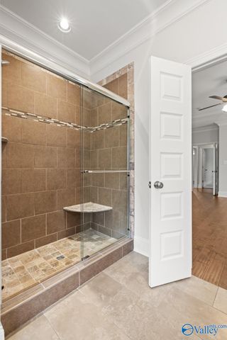 218 Mill Walk Court, Madison, AL 35758