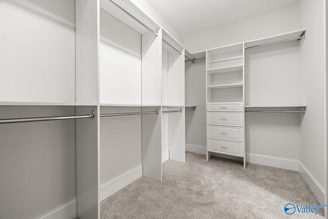 218 Mill Walk Court, Madison, AL 35758