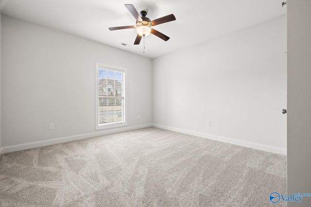 218 Mill Walk Court, Madison, AL 35758