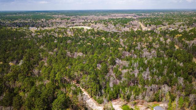 TBD Tract 4 Triple Creek Loop, Livingston, TX 77351