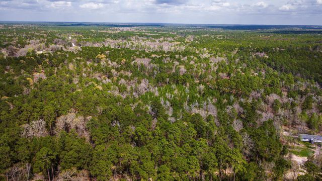 TBD Tract 4 Triple Creek Loop, Livingston, TX 77351