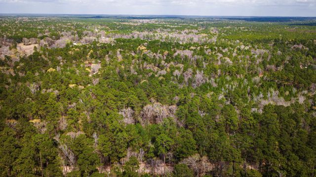 TBD Tract 4 Triple Creek Loop, Livingston, TX 77351