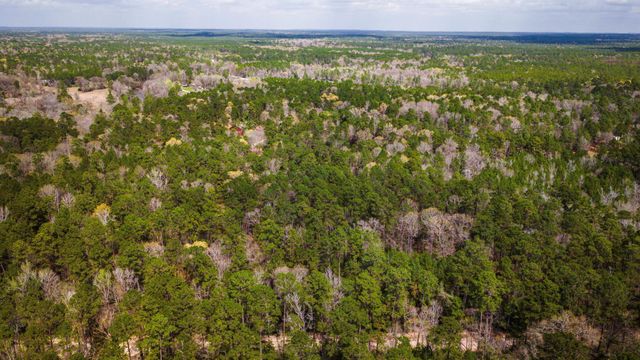 TBD Tract 4 Triple Creek Loop, Livingston, TX 77351