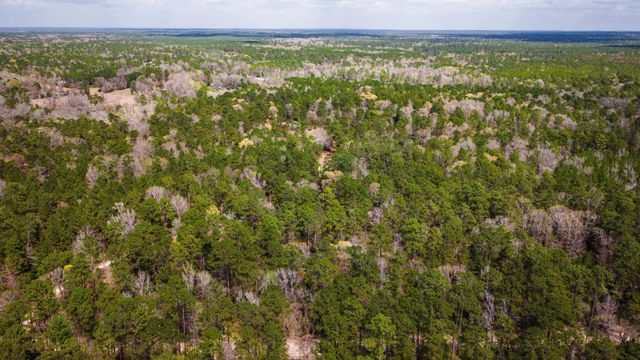 TBD Tract 4 Triple Creek Loop, Livingston, TX 77351