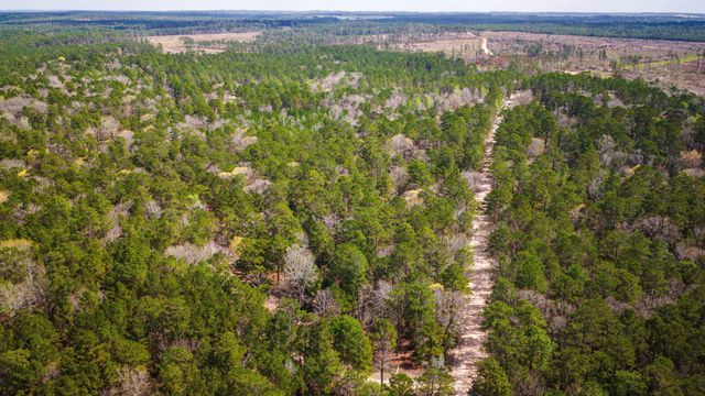 TBD Tract 4 Triple Creek Loop, Livingston, TX 77351