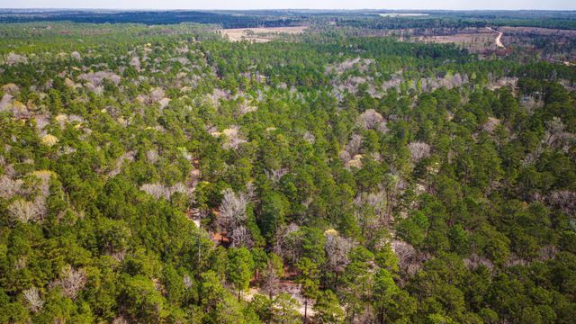 TBD Tract 4 Triple Creek Loop, Livingston, TX 77351
