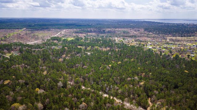 TBD Tract 4 Triple Creek Loop, Livingston, TX 77351