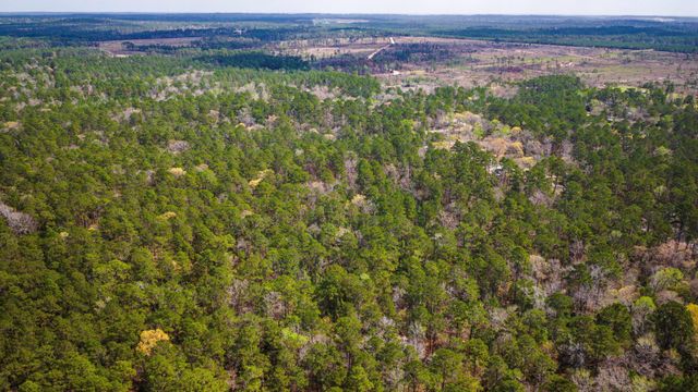 TBD Tract 4 Triple Creek Loop, Livingston, TX 77351