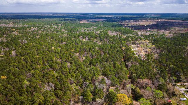 TBD Tract 4 Triple Creek Loop, Livingston, TX 77351
