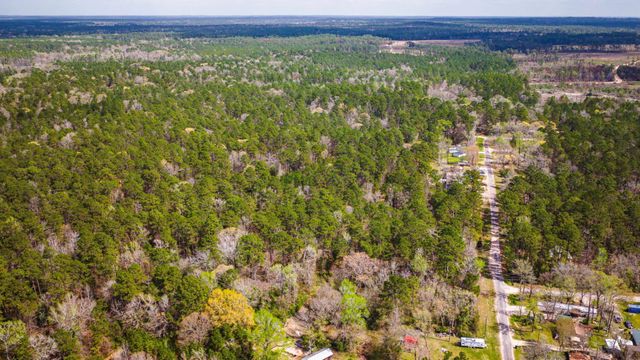 TBD Tract 4 Triple Creek Loop, Livingston, TX 77351