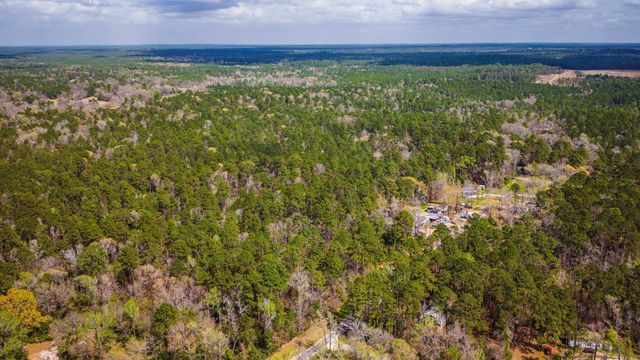TBD Tract 4 Triple Creek Loop, Livingston, TX 77351