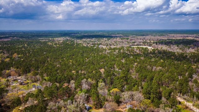TBD Tract 4 Triple Creek Loop, Livingston, TX 77351