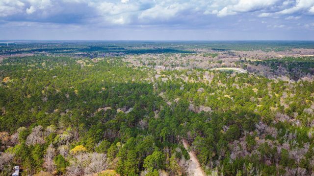 TBD Tract 4 Triple Creek Loop, Livingston, TX 77351