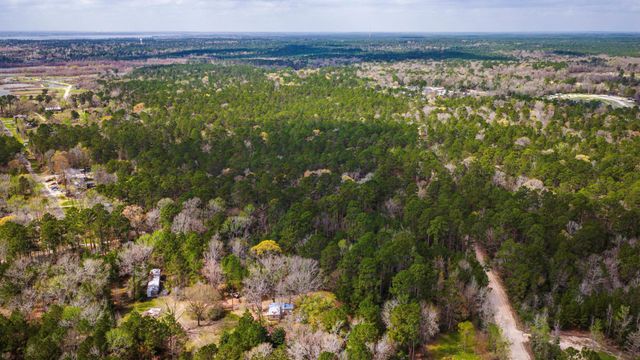 TBD Tract 4 Triple Creek Loop, Livingston, TX 77351