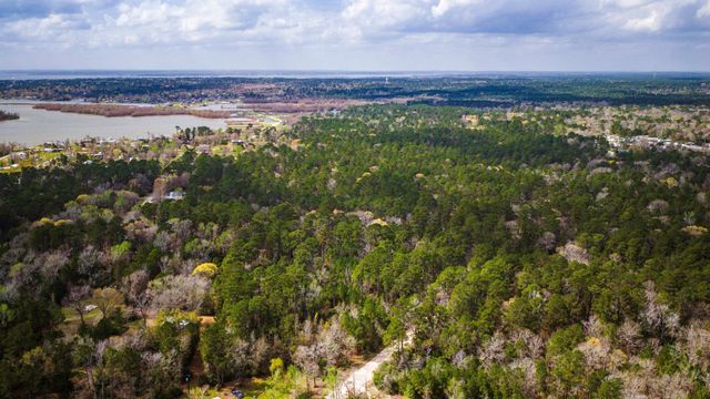 TBD Tract 4 Triple Creek Loop, Livingston, TX 77351