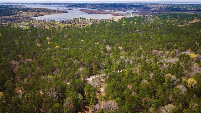 TBD Tract 4 Triple Creek Loop, Livingston, TX 77351