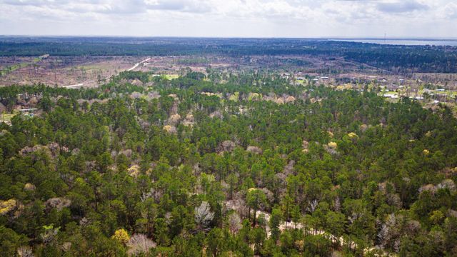 TBD Tract 4 Triple Creek Loop, Livingston, TX 77351