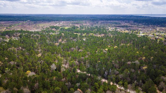 TBD Tract 4 Triple Creek Loop, Livingston, TX 77351