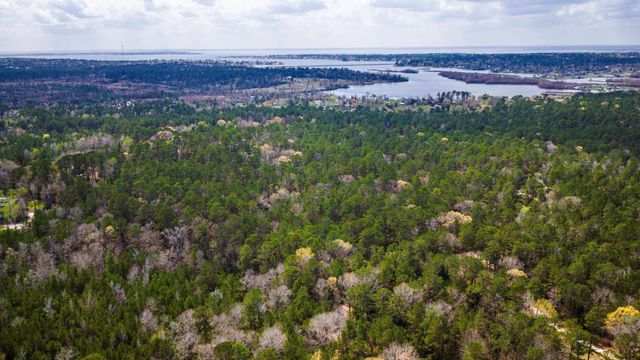 TBD Tract 4 Triple Creek Loop, Livingston, TX 77351
