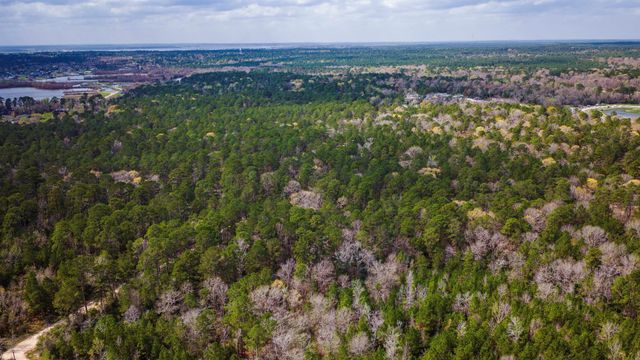 TBD Tract 4 Triple Creek Loop, Livingston, TX 77351