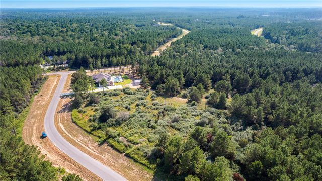 15615 Cricket Creek Court, Willis, TX 77378