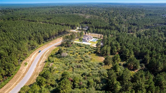 15615 Cricket Creek Court, Willis, TX 77378