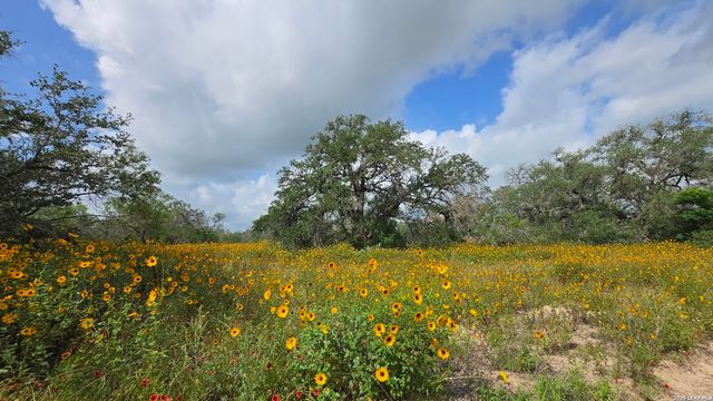 289 ZIGMOND RD, Poteet, TX 78065