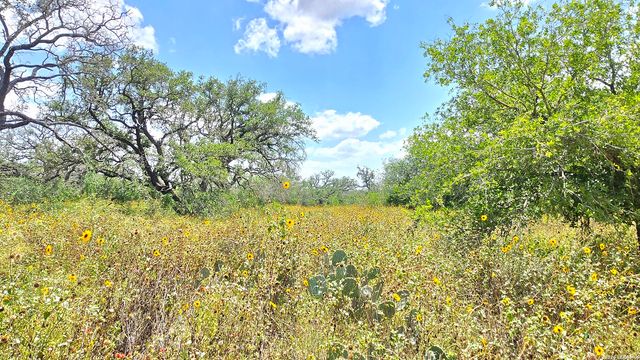289 ZIGMOND RD, Poteet, TX 78065