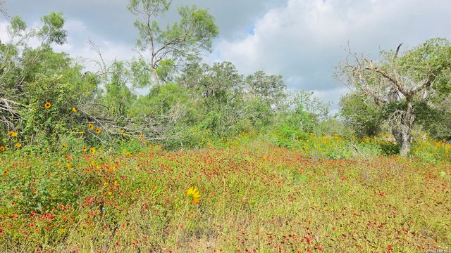 289 ZIGMOND RD, Poteet, TX 78065