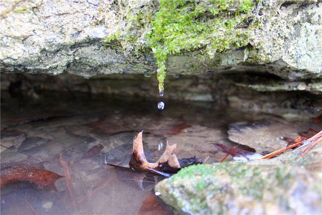 Cr-1089, Eureka Springs, AR 72632