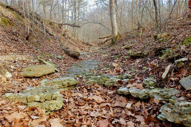 Cr-1089, Eureka Springs, AR 72632