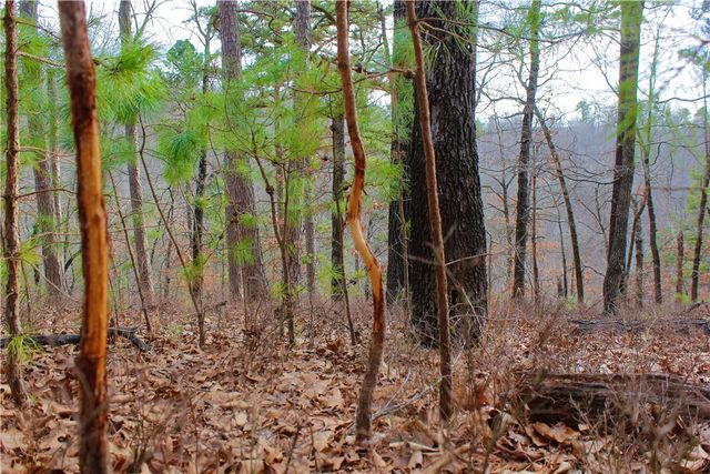 Cr-1089, Eureka Springs, AR 72632