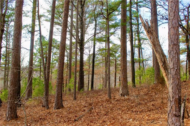 Cr-1089, Eureka Springs, AR 72632