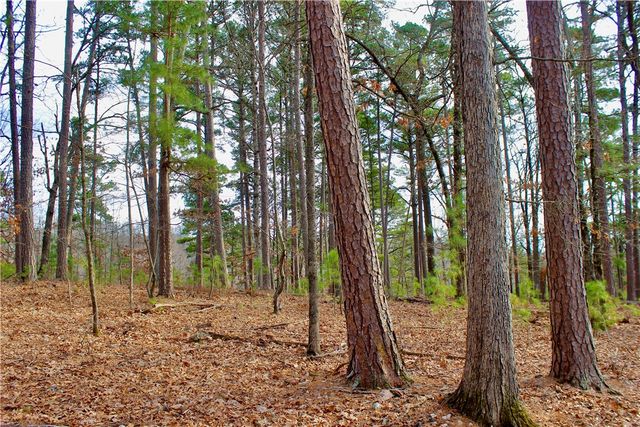 Cr-1089, Eureka Springs, AR 72632