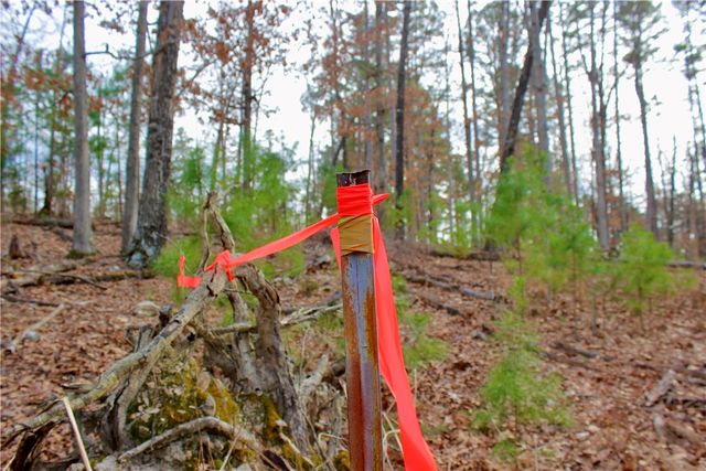 Cr-1089, Eureka Springs, AR 72632