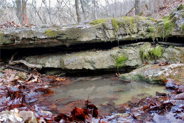 Cr-1089, Eureka Springs, AR 72632