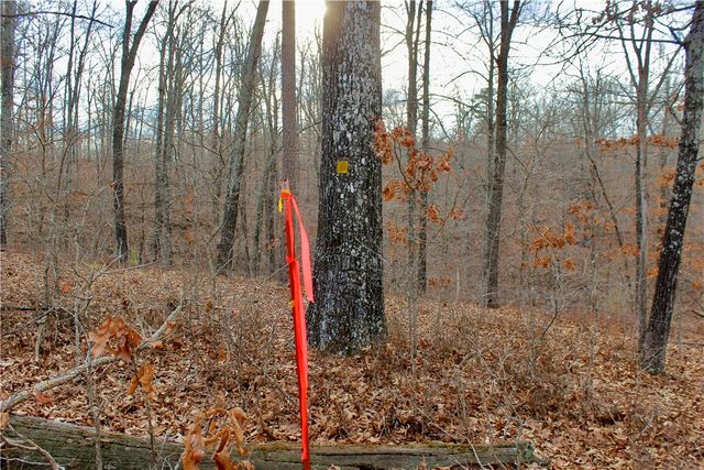 Cr-1089, Eureka Springs, AR 72632