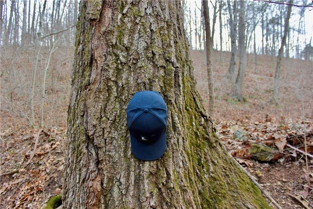 Cr-1089, Eureka Springs, AR 72632