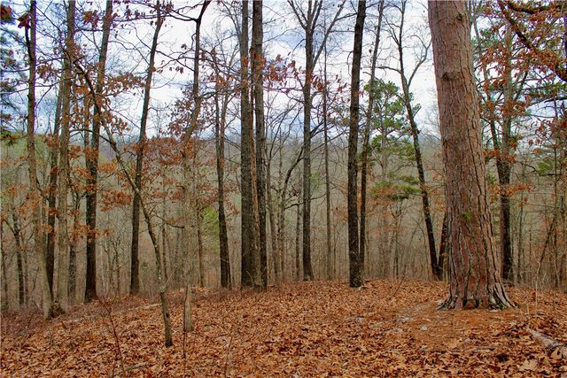 Cr-1089, Eureka Springs, AR 72632