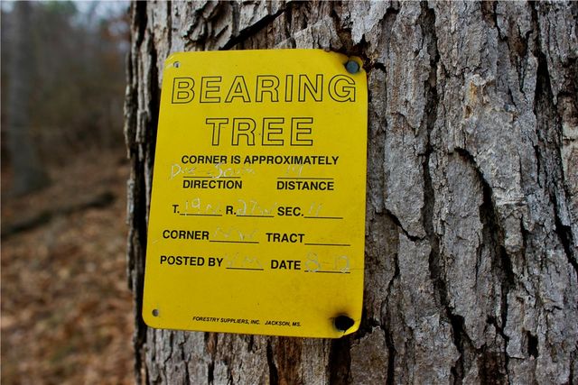 Cr-1089, Eureka Springs, AR 72632