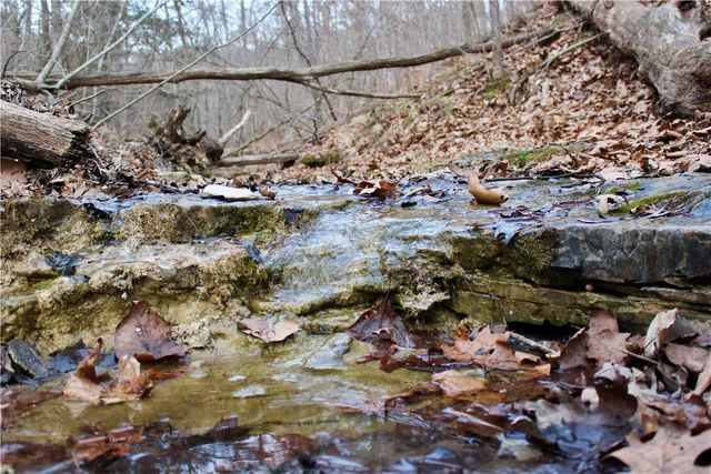 Cr-1089, Eureka Springs, AR 72632