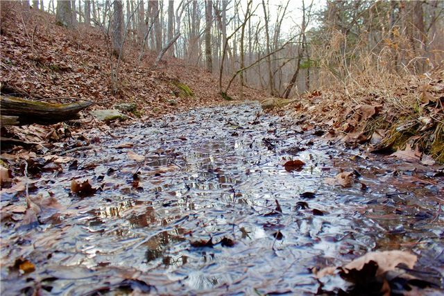 Cr-1089, Eureka Springs, AR 72632
