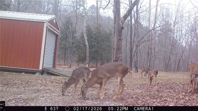 Cr-1089, Eureka Springs, AR 72632