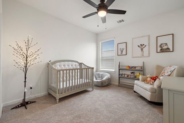 1212 Frances Peyton CT, Leander, TX 78641